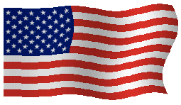 USA Flag GIF