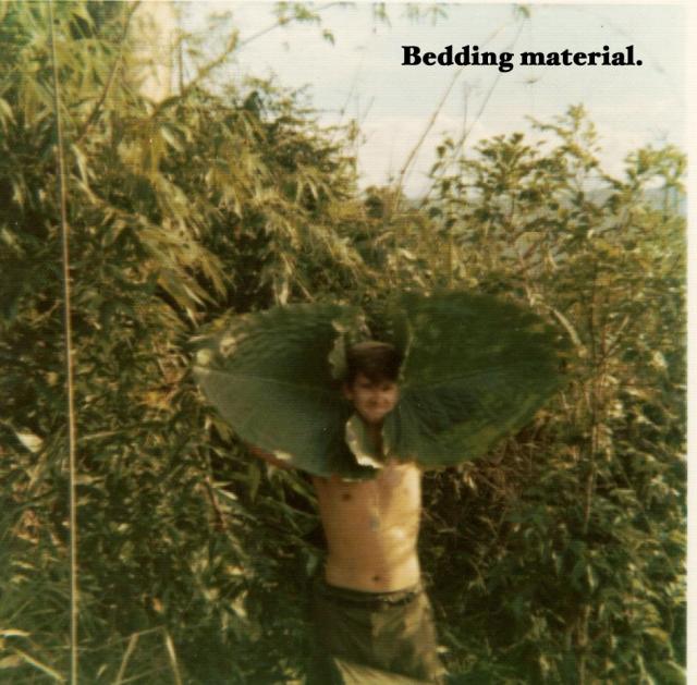 1DH0194 bedding