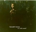 1DH0385 Arnoe