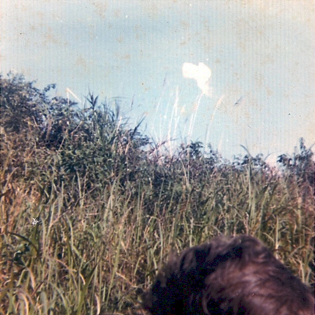 scan006