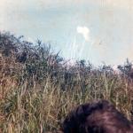 scan006
