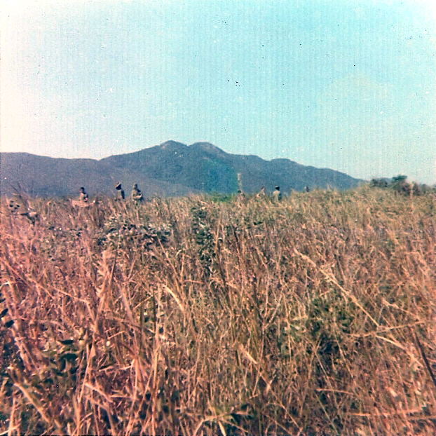 scan008