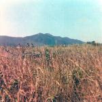 scan008