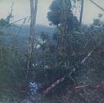 scan0009