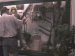Vietnam Display