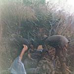 scan019