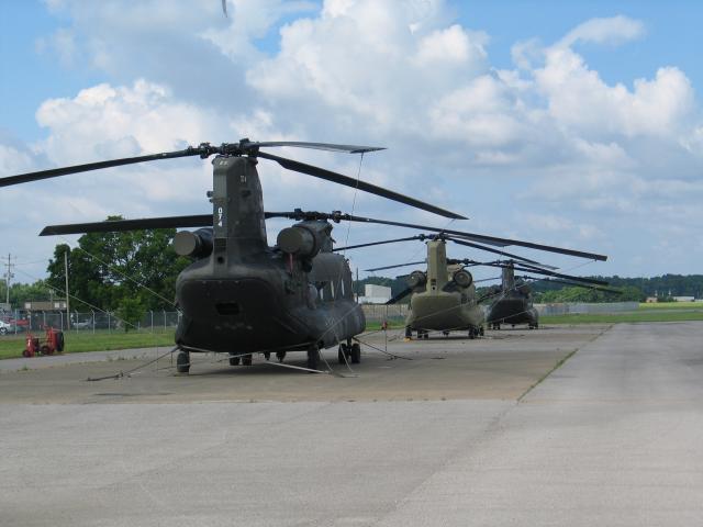 Birds on the ready line