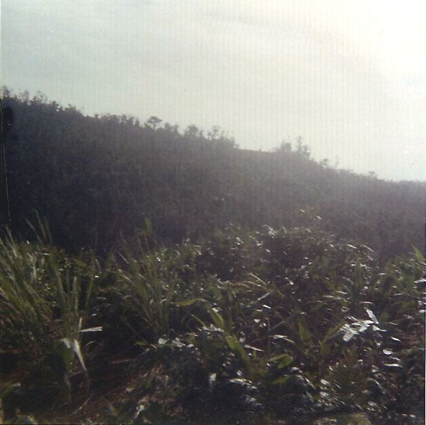 scan0039