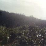 scan0039