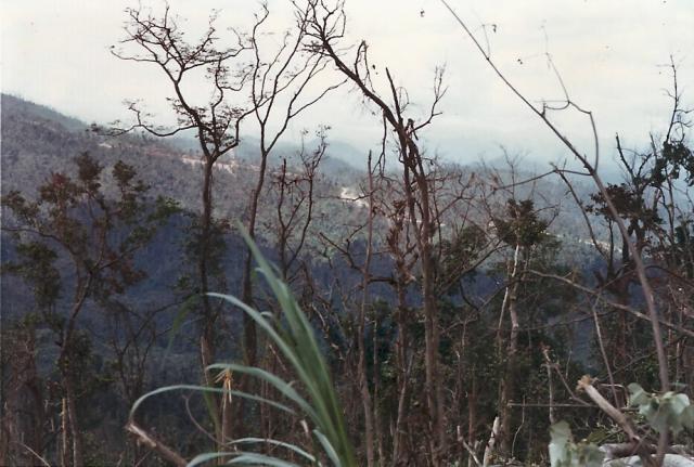 scan0037