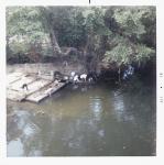 Vietnam Countryside 6